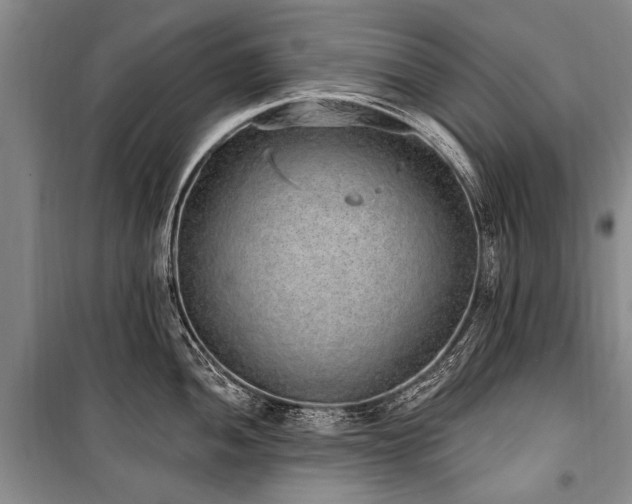 X0000101151052200806270939
