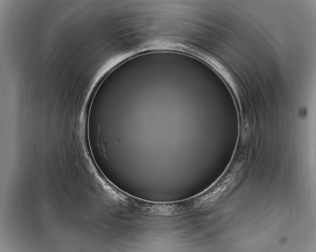 X0000101151053200806270939