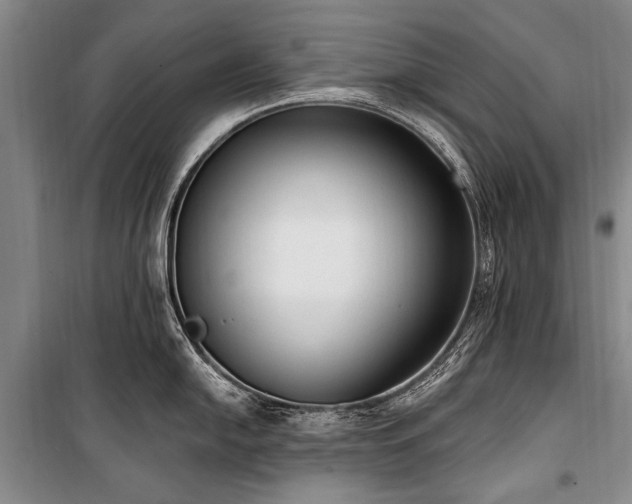 X0000101151054200806270939