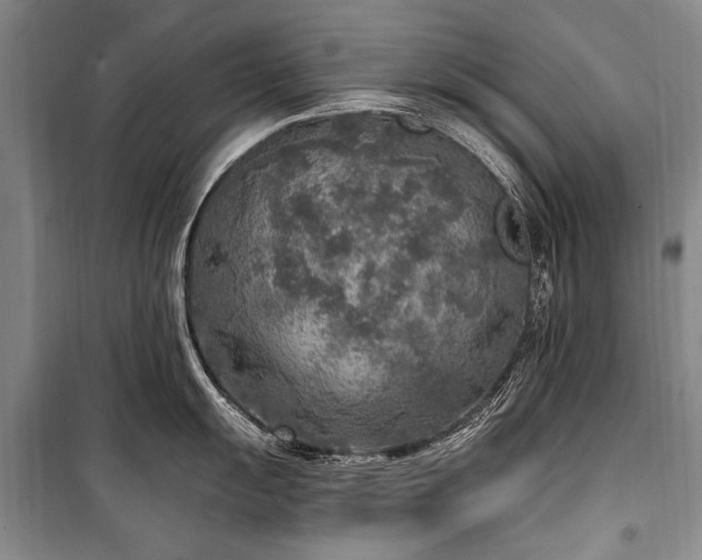 X0000101151055200806270939