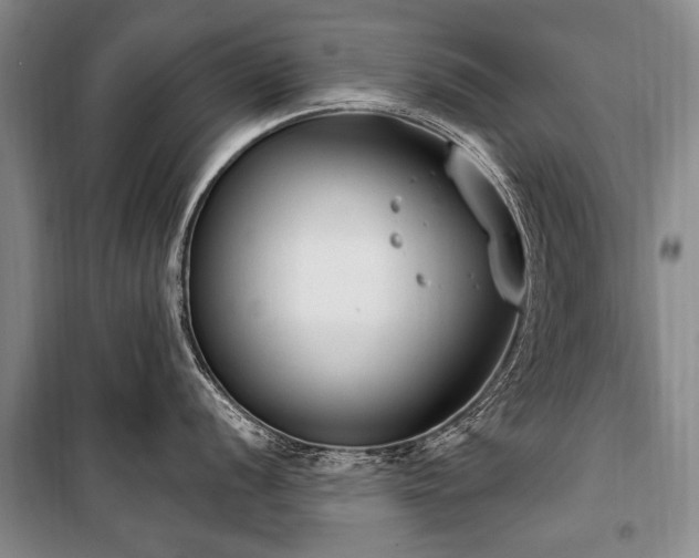 X0000101151056200806270939