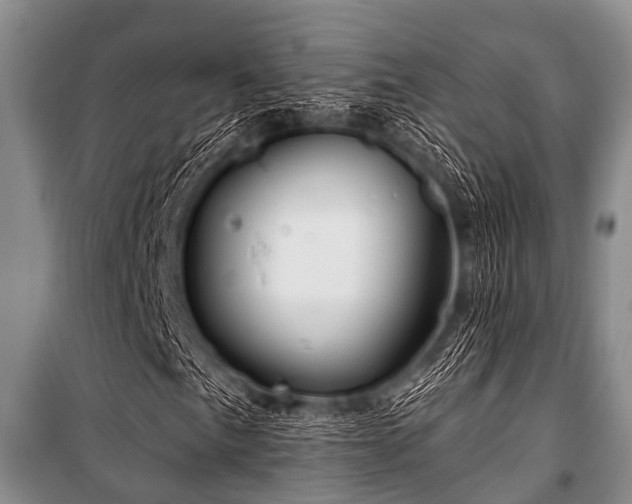 X0000101151057200806270938
