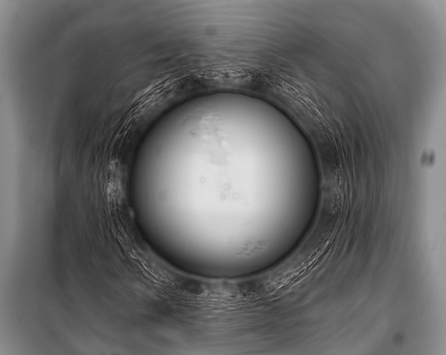 X0000101151058200806270938