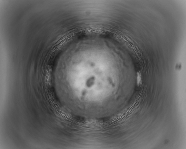 X0000101151059200806270938
