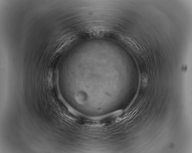X0000101151060200806270938