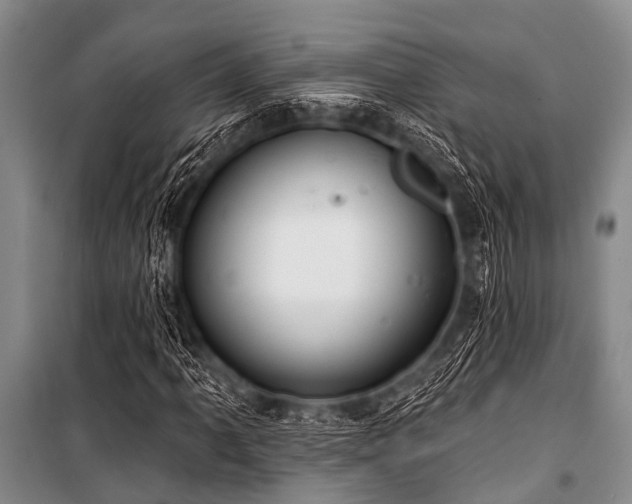X0000101151061200806270938
