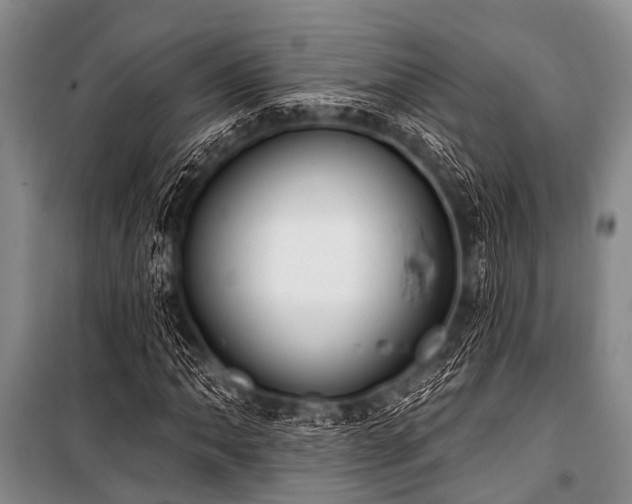 X0000101151062200806270938