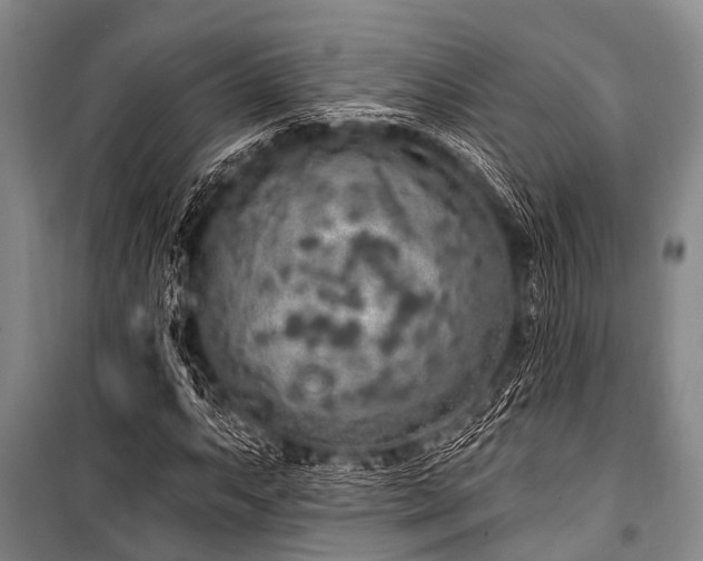 X0000101151063200806270938