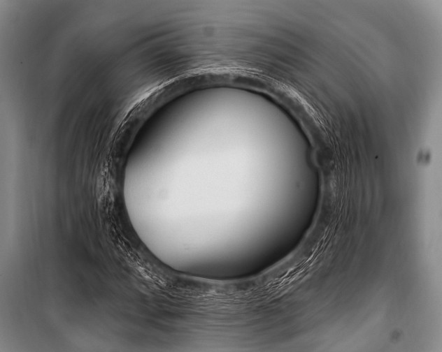 X0000101151064200806270938