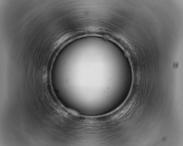 X0000101151065200806270938