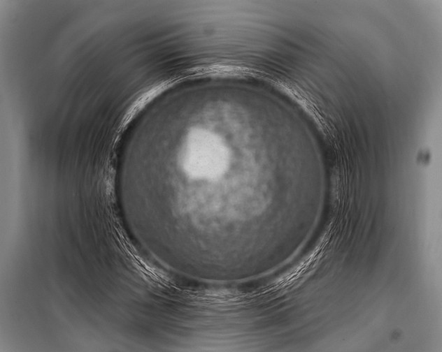 X0000101151066200806270938