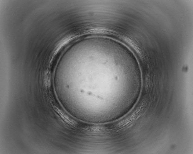 X0000101151067200806270938