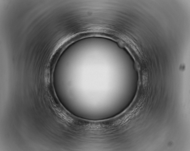 X0000101151069200806270938