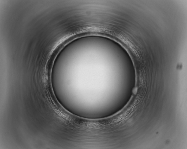 X0000101151070200806270938