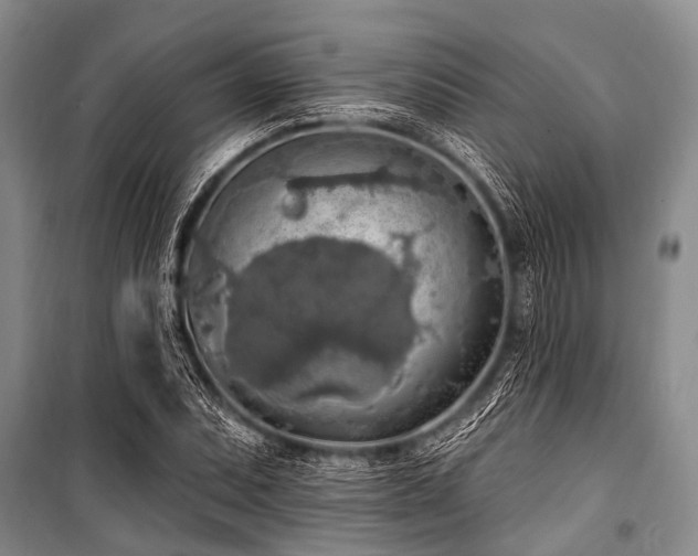 X0000101151071200806270938