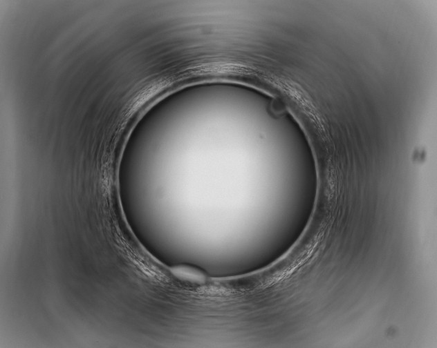 X0000101151073200806270938