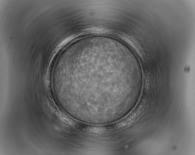 X0000101151074200806270938