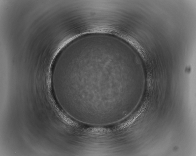 X0000101151077200806270938
