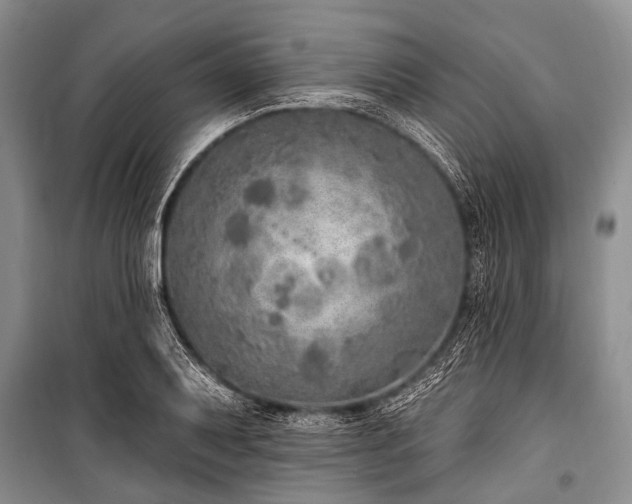 X0000101151079200806270938