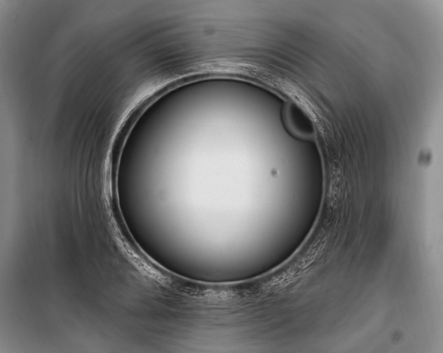 X0000101151080200806270938