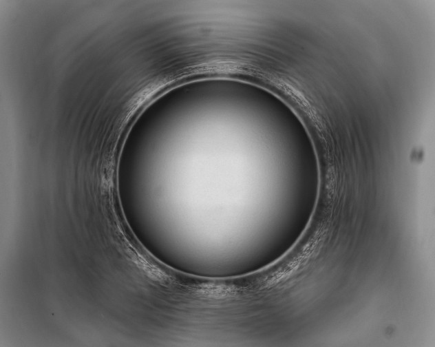 X0000101151081200806270938