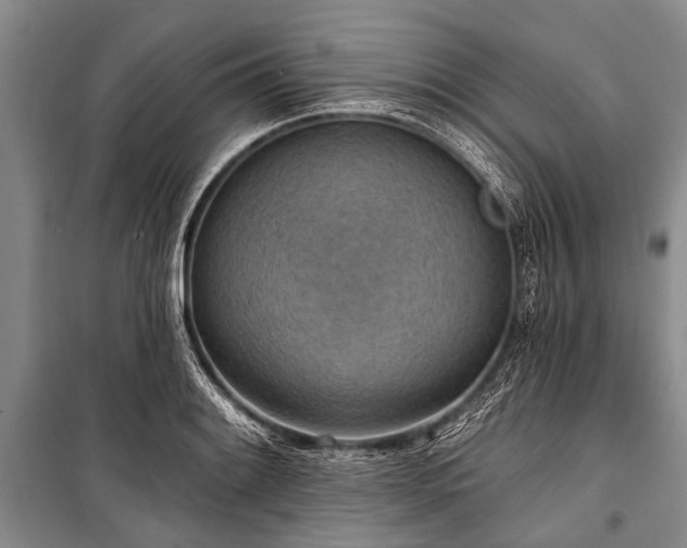 X0000101151084200806270938