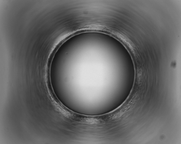 X0000101151085200806270938