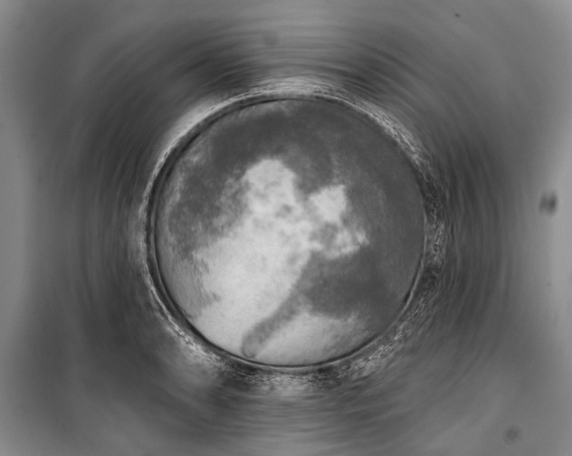 X0000101151086200806270938