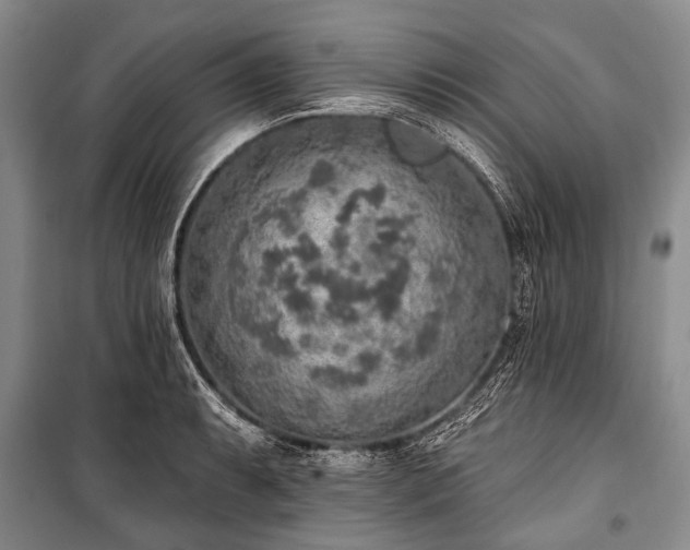 X0000101151087200806270938