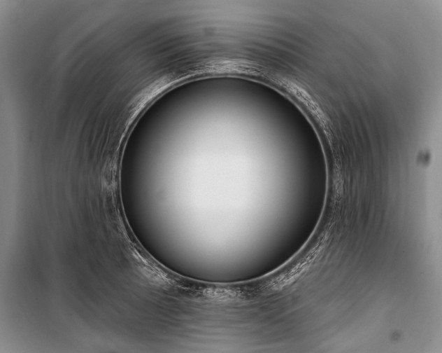 X0000101151089200806270938