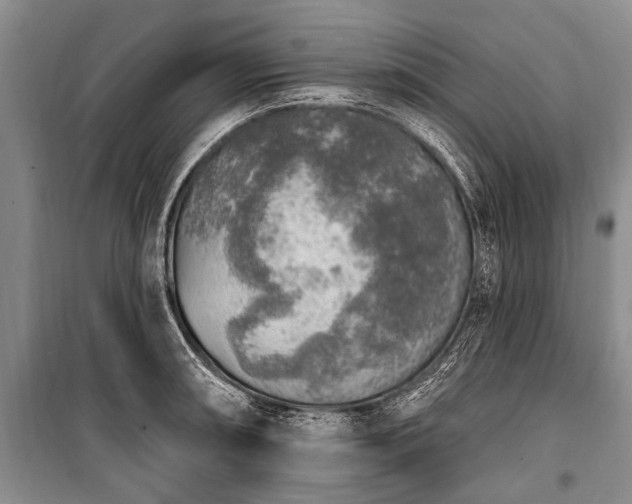 X0000101151090200806270938