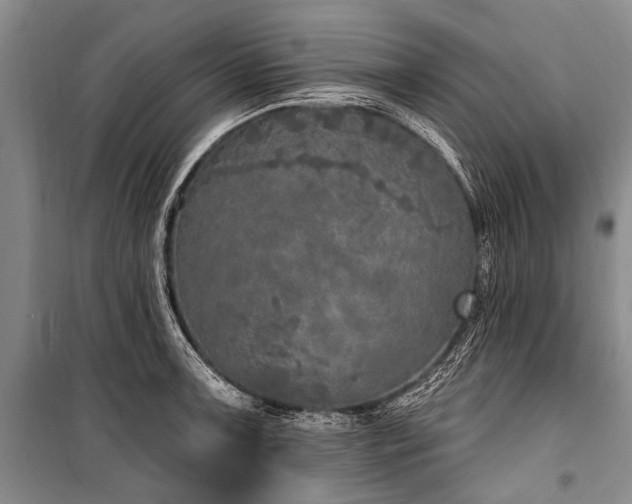 X0000101151091200806270938