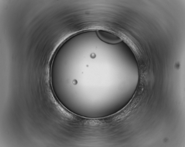 X0000101151092200806270938