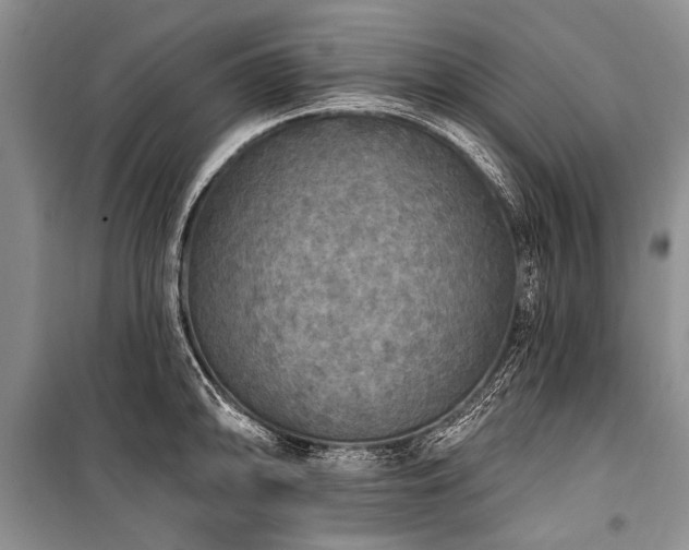 X0000101151094200806270938
