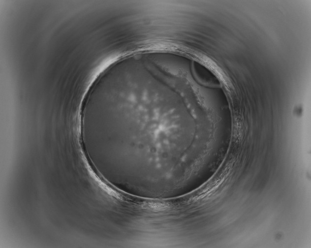 X0000101151095200806270938