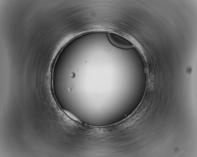 X0000101151096200806270938