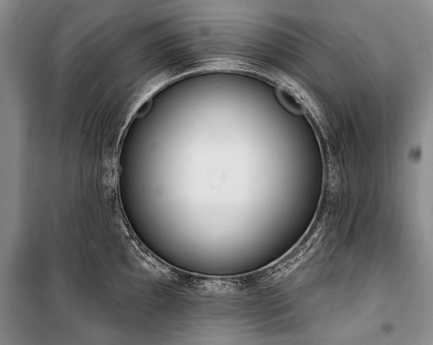 X0000101151097200806270938