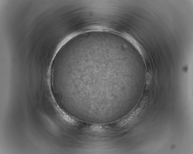 X0000101151098200806270938