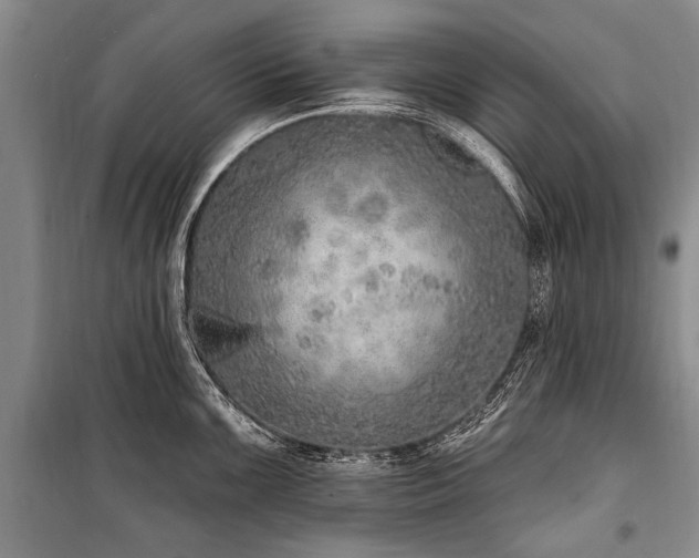 X0000101151099200806270938