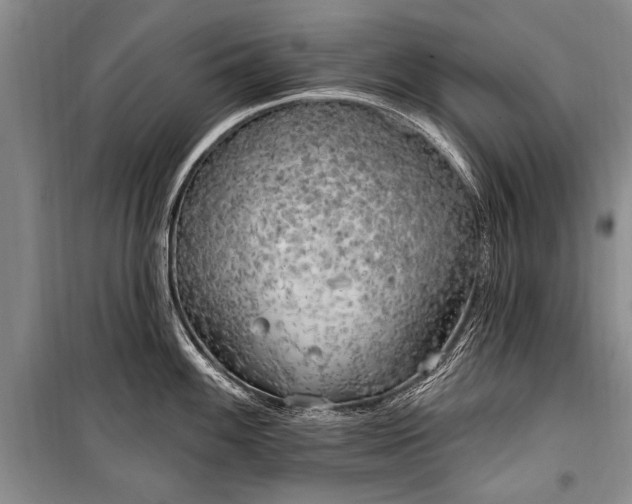 X0000101151100200806270938