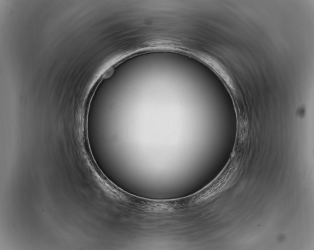 X0000101151101200806270938