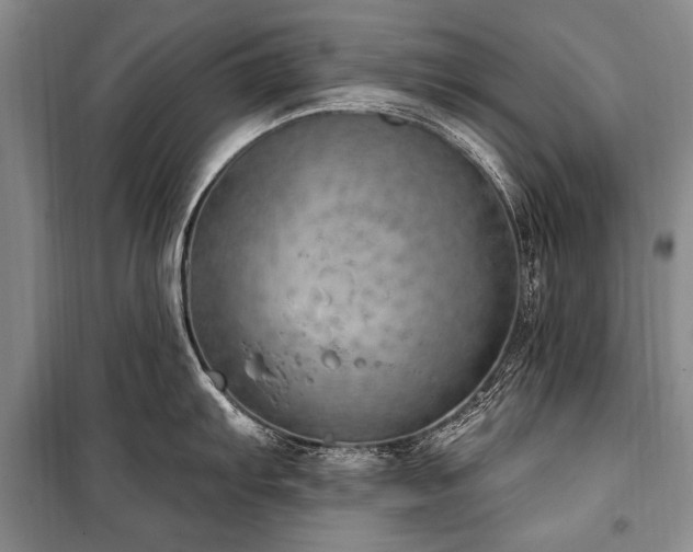 X0000101151103200806270938