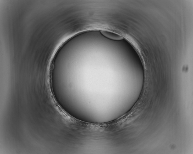 X0000101151104200806270938