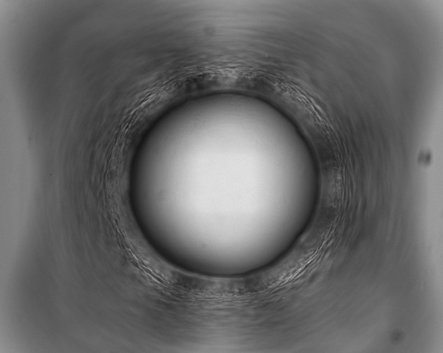 X0000101151105200806270937