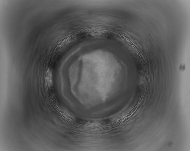 X0000101151106200806270937