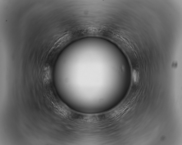 X0000101151107200806270937