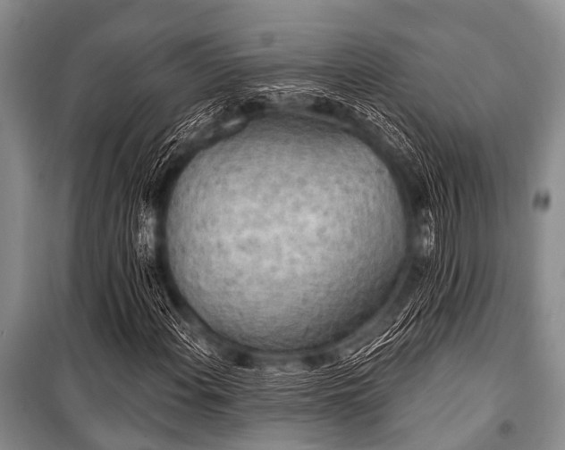 X0000101151108200806270937