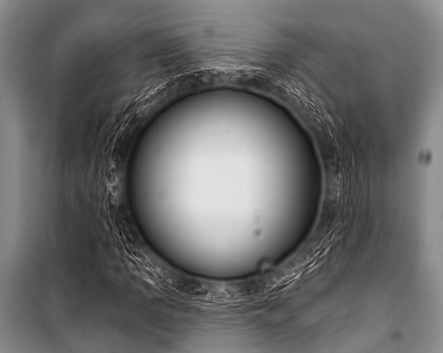 X0000101151109200806270937