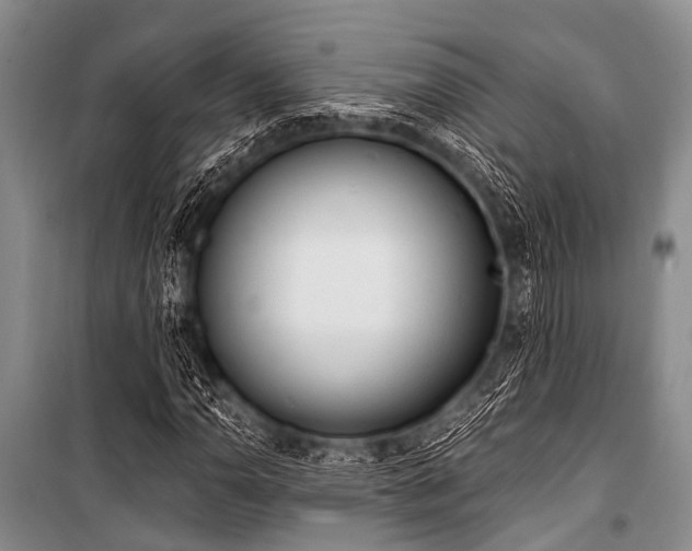 X0000101151110200806270937