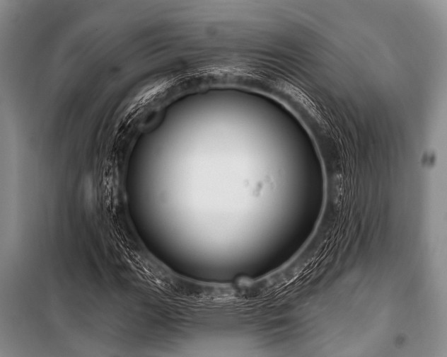 X0000101151111200806270937